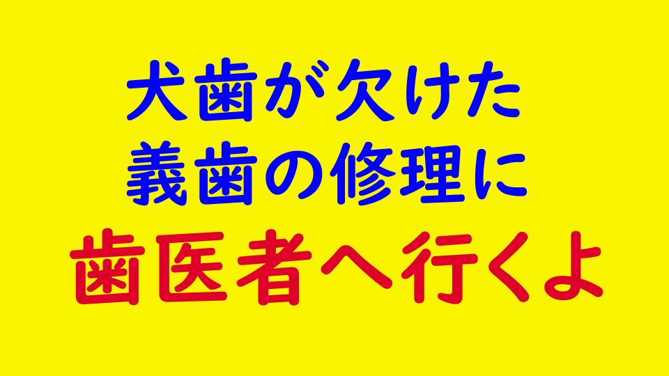 義歯の補修、欠けた歯を治療に歯医者へ行った