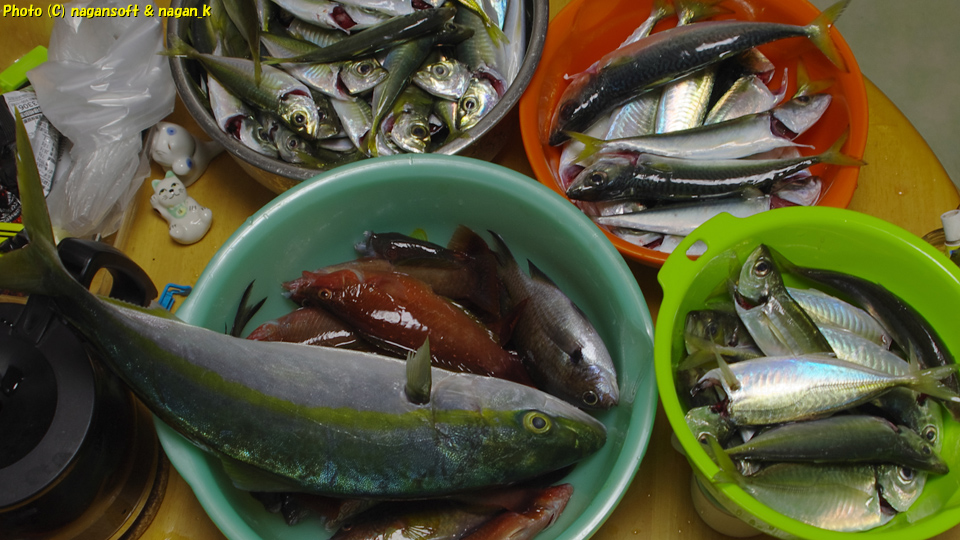 「なが～ン」夫妻の2022年10月13日の釣果