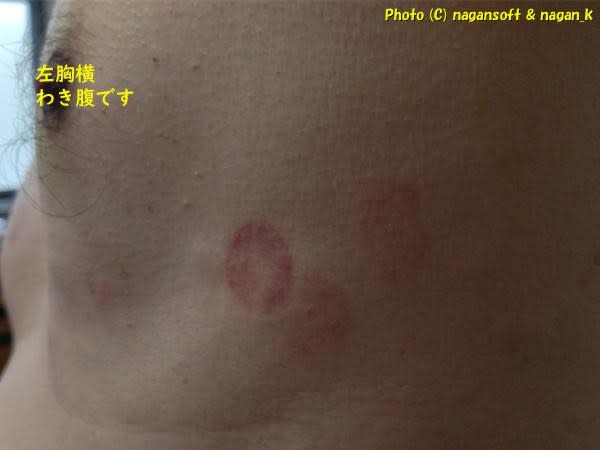 https://nagan.blog/hopewreck/item-space/2024/03/0f697454fba14c023fe3e242e5c51f9e.jpg