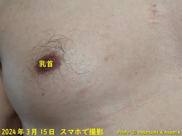 https://nagan.blog/hopewreck/item-space/2024/03/4791b94e1e45937e11c9ae02604cbf52.jpg
