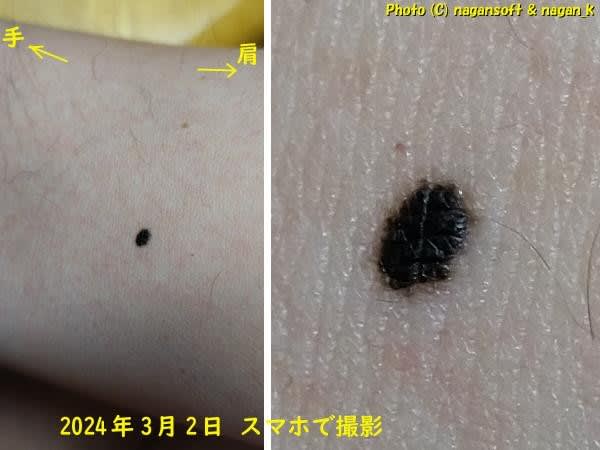 https://nagan.blog/hopewreck/item-space/2024/03/4b04c13958dbdd9bcab9586211a339df.jpg