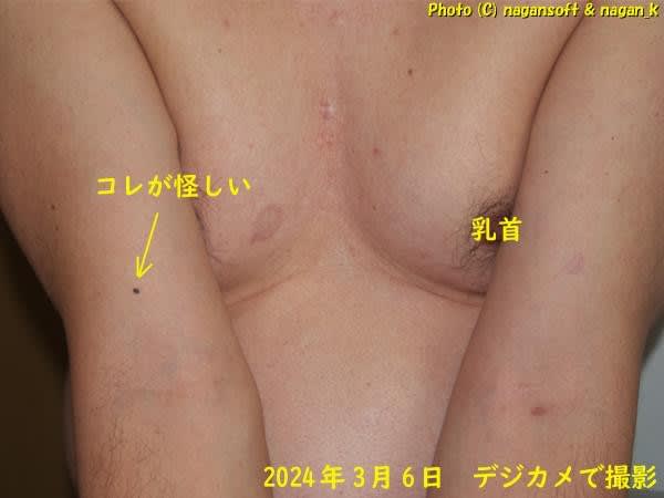 https://nagan.blog/hopewreck/item-space/2024/03/8f04158bad8edb40c803afff0c5791ea.jpg