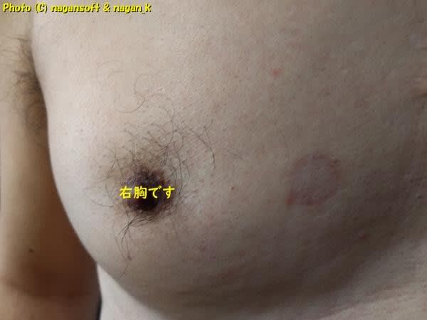 https://nagan.blog/hopewreck/item-space/2024/03/a1f1bc6150b158db1c44fc35db5d730c.jpg