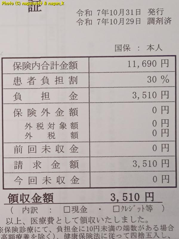 「なが～ン」の類乾癬治療。2025年10月の薬代