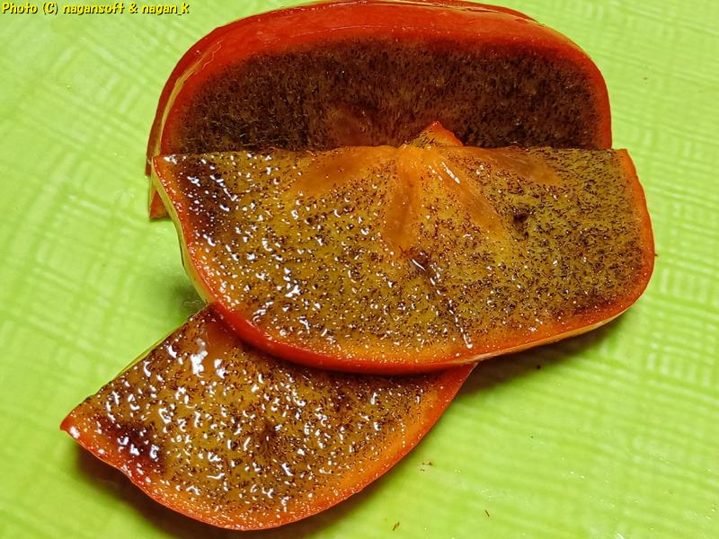 2025年11月19日、紀の川柿 スライス切りして食す。こいつは黒ゴマ色がちょっと薄いかも？蜜汁は美味。皮も甘いんだよ。