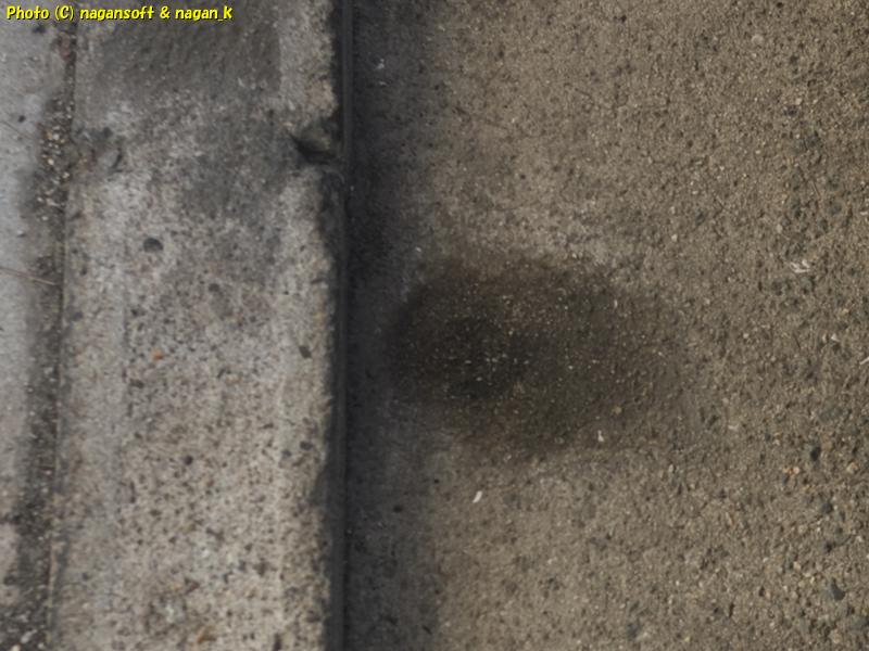 2025年11月22日、「なが～ン」所有車、クラウンワゴン、オイル滲み痕