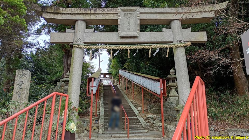 参道階段の鳥居 本格的に撮影している方が居た 泉佐野市 意賀美神社へ初詣、2026年01月04日撮影