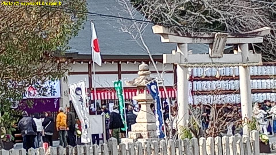 泉佐野市 意賀美神社 遠くからの参拝、2026年01月01日撮影