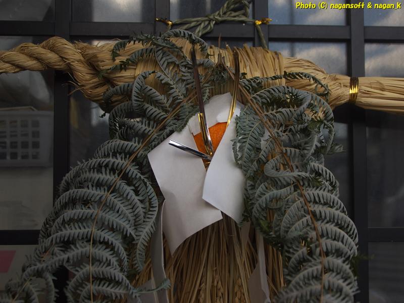 2日間冬の嵐にさらされた注連飾りは「裏白」「紙垂」「橙」の順番がおかしなことになっていた、2026年01月12日撮影