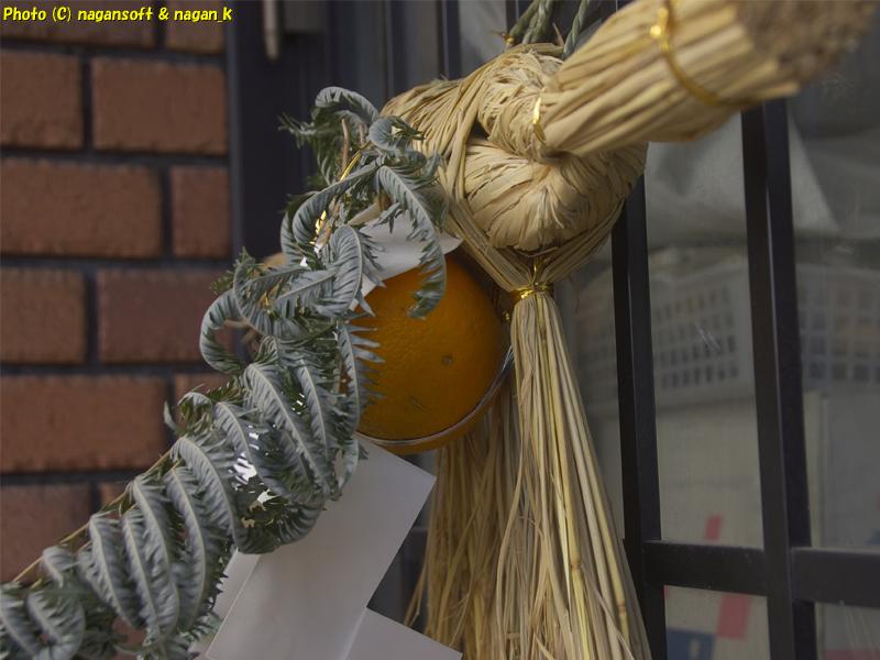 2日間冬の嵐で「橙」が落ちそうになっている、冬の嵐で注連飾りが大変なことになっていた、2026年01月12日撮影