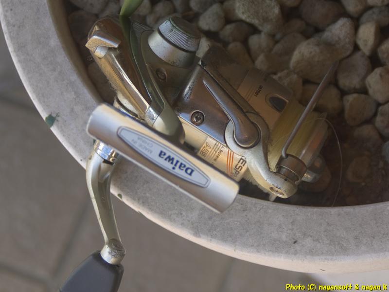 注連飾りを補修しようと釣り糸を持ち出した。冬の嵐で注連飾りが大変なことになっていた、2026年01月12日撮影