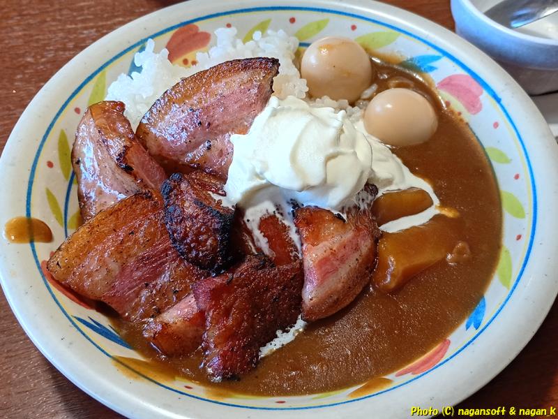 カレーライス、焼肉バイキング左近 末広店、2026年01月30日撮影