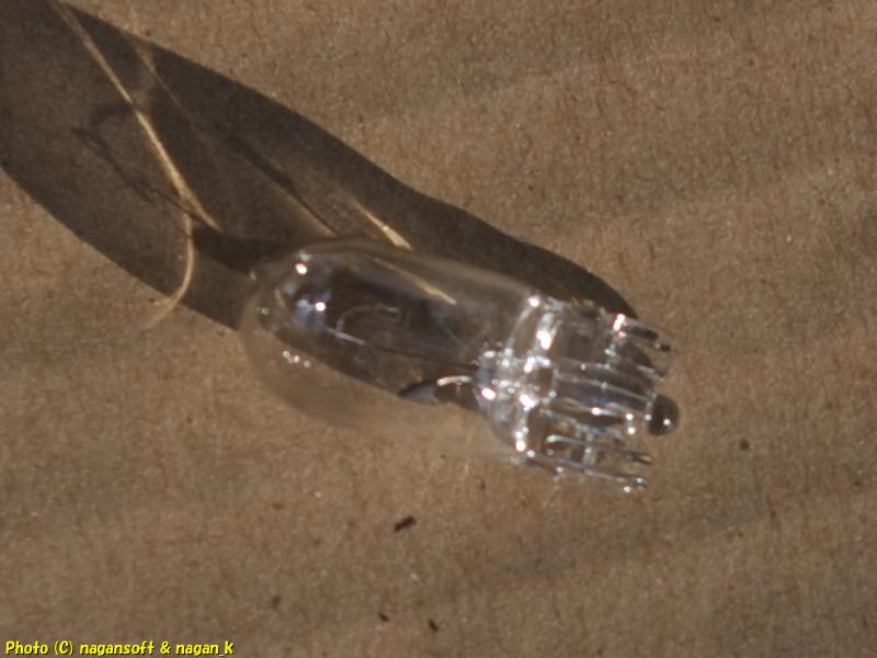 クラウンワゴン E-GS130G、ライセンスランプから取り出した電球 少し曇っているが球切れしていない、2026年02月07日撮影、「なが～ン」所有車 クラゴン 1G-FE