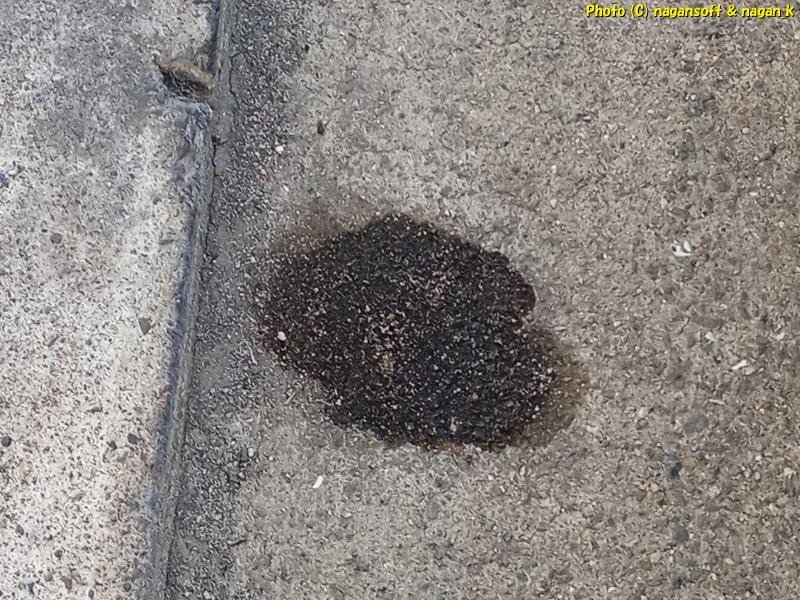 地面の汚れでオイル滲み確認、クラウンワゴン E-GS130G、2026年02月19日撮影、「なが～ン」所有車 クラゴン 1G-FE