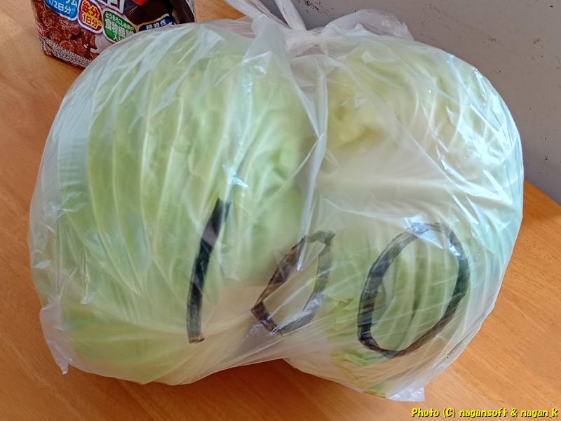 無人販売所でキャベツ2玉を100円で購入、大阪府泉佐野市某所、2026年03月08日撮影