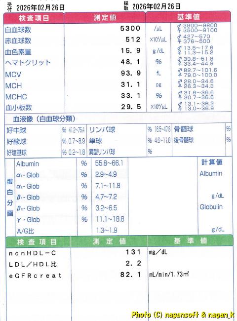 類乾癬患者の血液検査2枚目、特定健診|2026年03月11日撮影