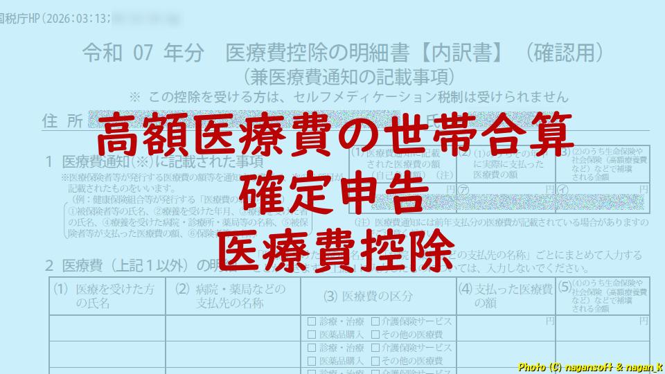高額医療費の世帯合算が発生したときの医療費控除をこう書いた(なが～ンのごちゃごちゃ)