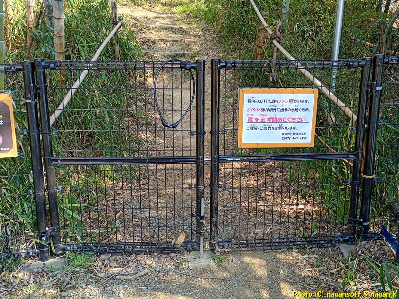 柵を超えて「コラボレーション区域」に入ります。もちろんイノシシ対策で開けたら閉めるですよ。泉佐野丘陵緑地、2026年03月15日撮影