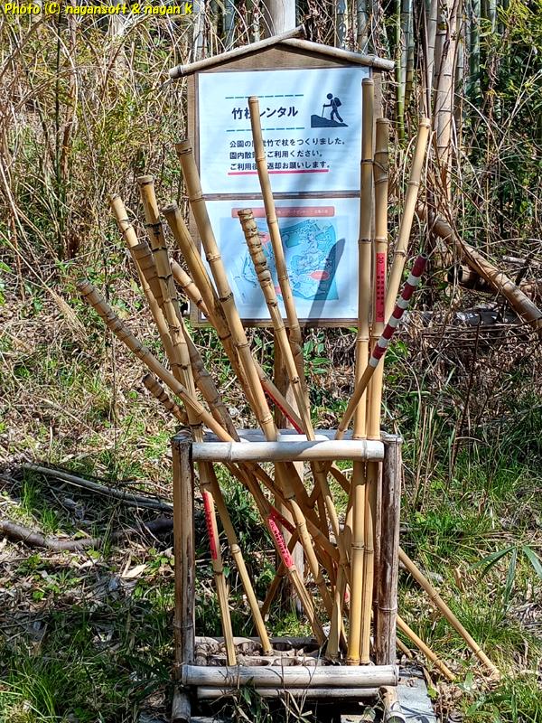 柵を超えてすぐに「竹杖レンタル」がある、泉佐野丘陵緑地、2026年03月15日撮影