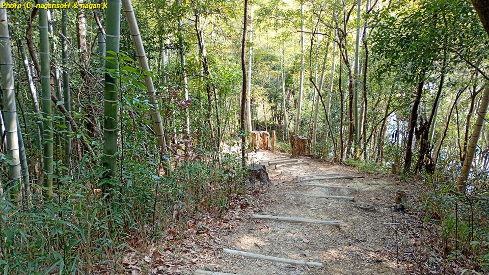 起伏の激しい散策路、泉佐野丘陵緑地、2026年03月15日撮影