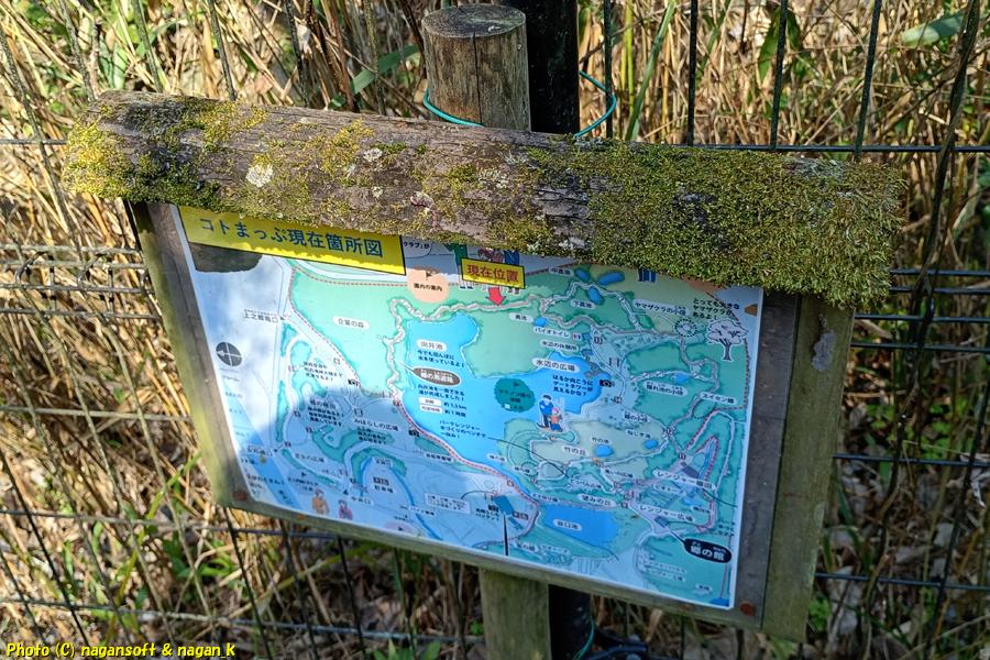 苔むした案内看板が良い味を出している、泉佐野丘陵緑地、2026年03月15日撮影