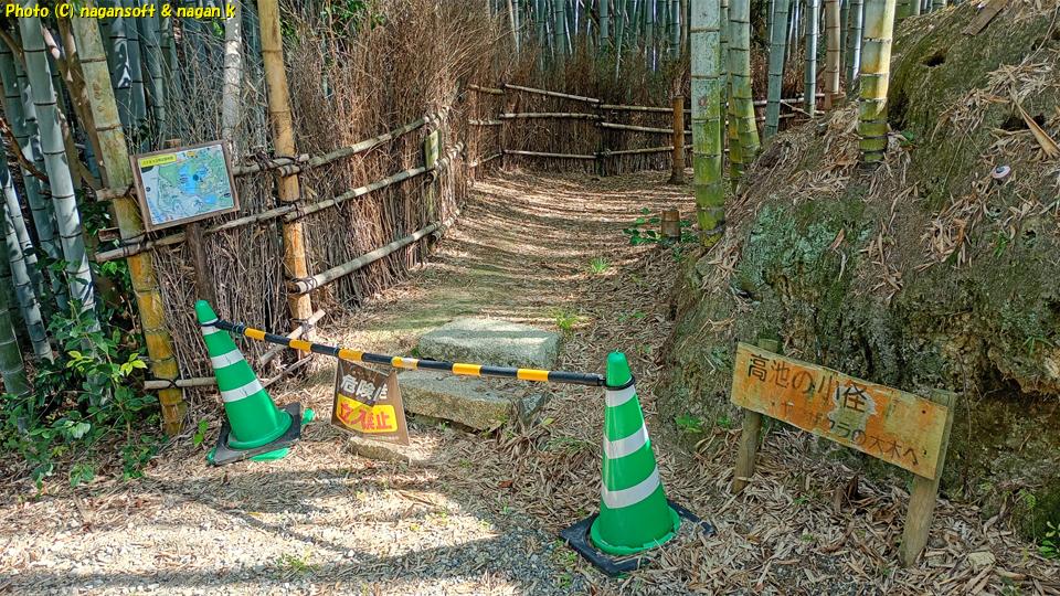 「企業の森」から大きなヤマザクラへ抜ける「高池の小径」は封鎖されている。泉佐野丘陵緑地、2026年03月15日撮影