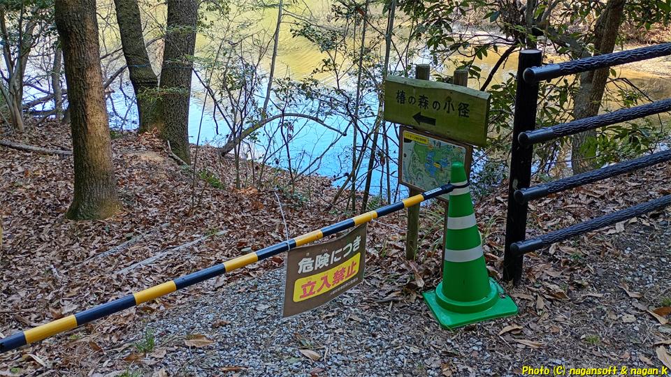 「椿の森の小径」封鎖されている。大阪府・泉佐野丘陵緑地、2026年03月15日撮影