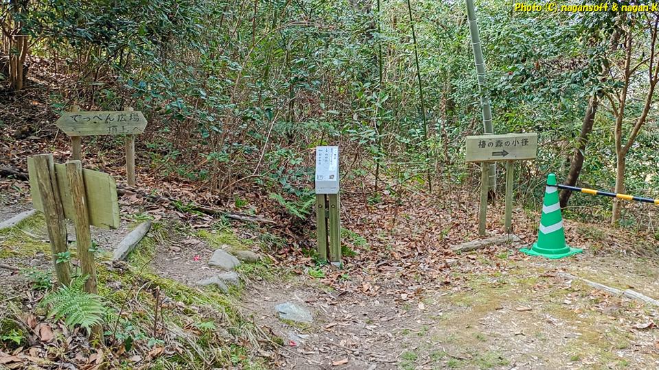 「椿の森の小径」と「てっぺん広場」への分岐点。大阪府・泉佐野丘陵緑地、2026年03月15日撮影