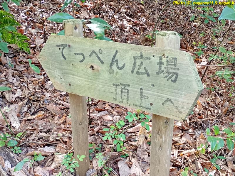 「てっぺん広場頂上へ」と記された案内看板。大阪府・泉佐野丘陵緑地、2026年03月15日撮影