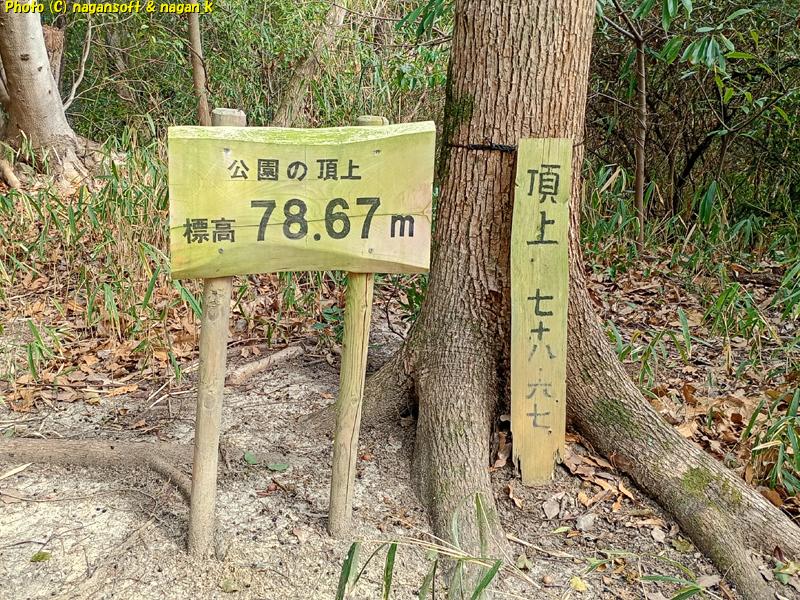 てっぺん広場頂上の標識。大阪府・泉佐野丘陵緑地、2026年03月15日撮影