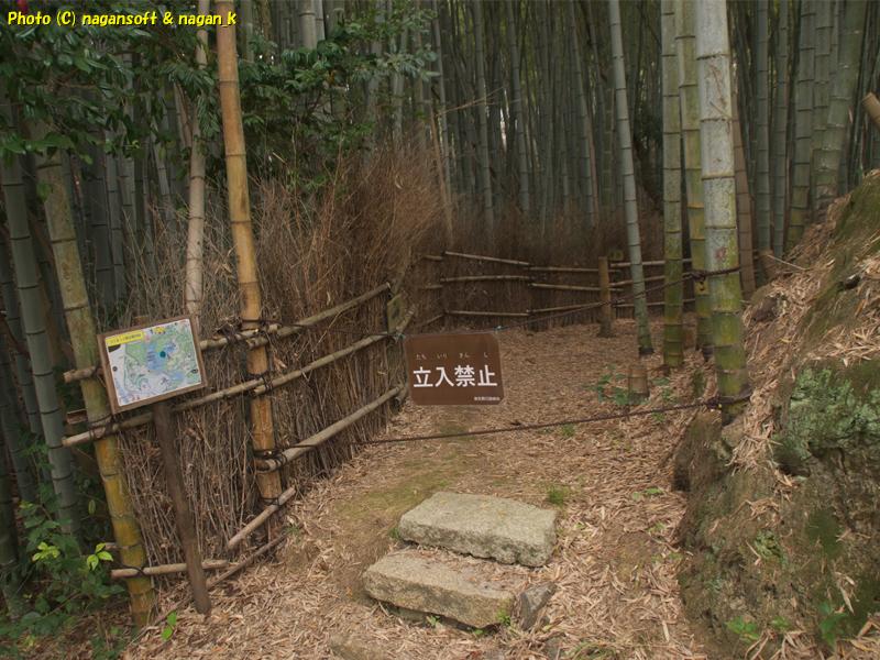 「高池の小径」が閉鎖されている。泉佐野丘陵緑地。2026年03月29日撮影。
