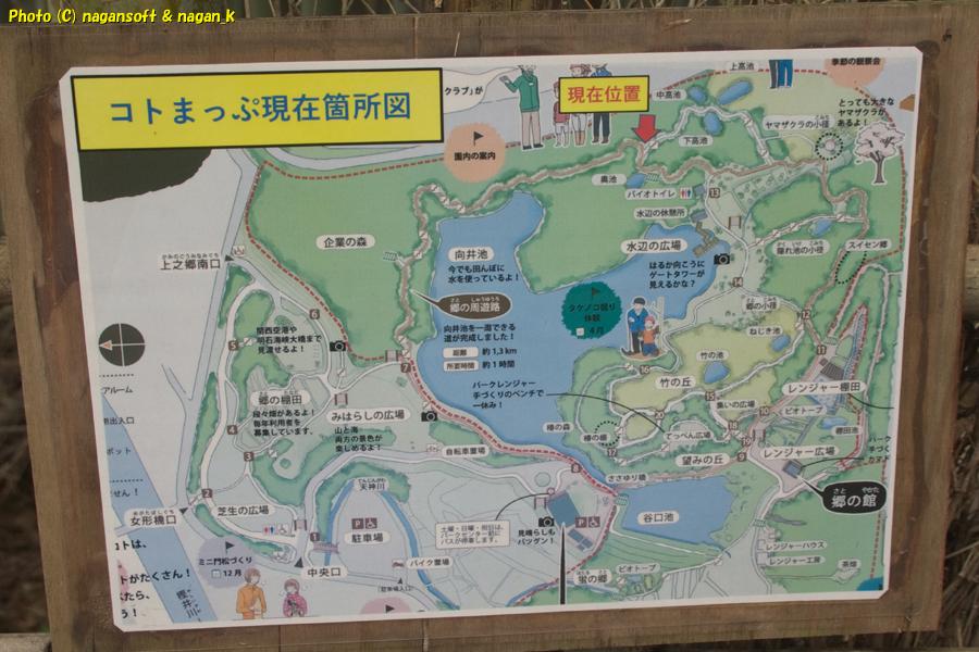 「高池の小径」への分かれ道に設置されている案内図。泉佐野丘陵緑地。2026年03月29日撮影
