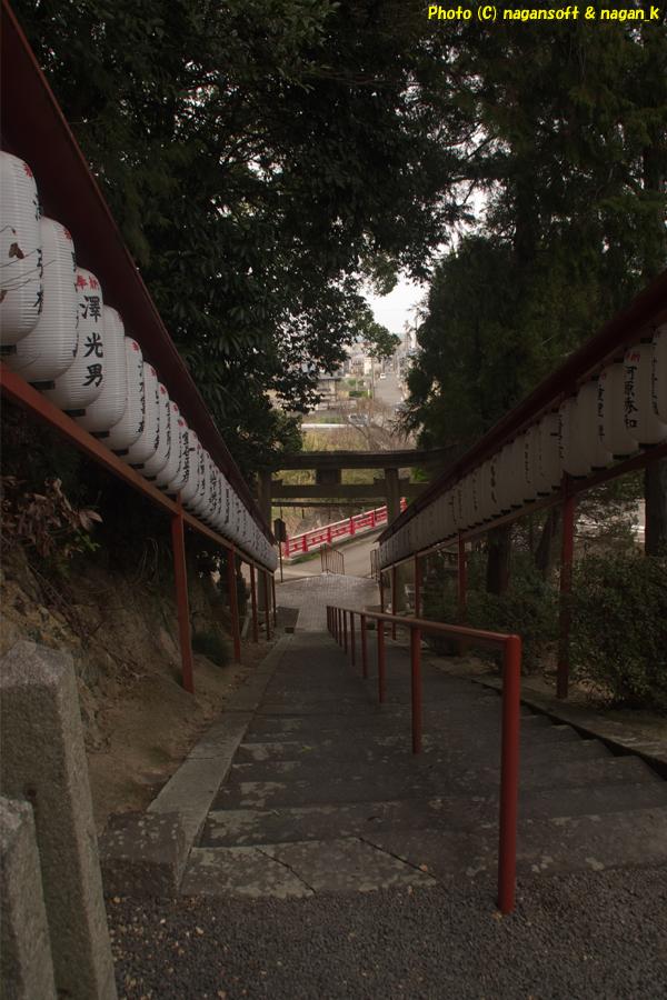 北側の参道階段、階段下までまっすぐ左右に提灯が連なっている｜大阪府泉佐野市上之郷の意賀美神社。2026年03月29日撮影