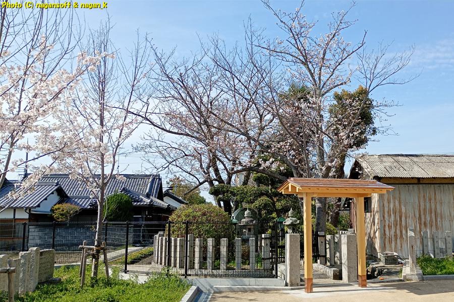 茅渟宮跡 全貌｜大阪府泉佐野市上之郷、茅渟宮跡。2026年04月03日撮影