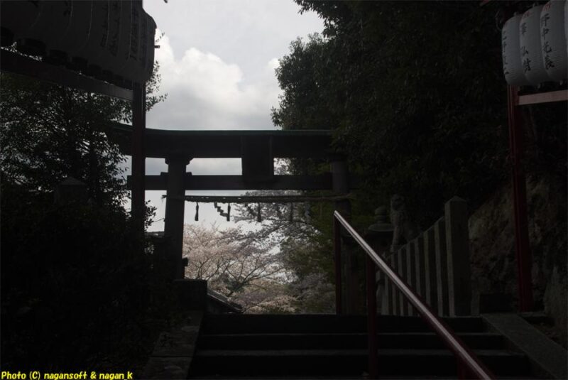 曇天の下、北側参道階段途中から境内入り口の鳥居を見上げる。暗がりの向う鳥居越しに灯りが見える。｜意賀美神社｜大阪府泉佐野市上之郷｜2026年04月05日
