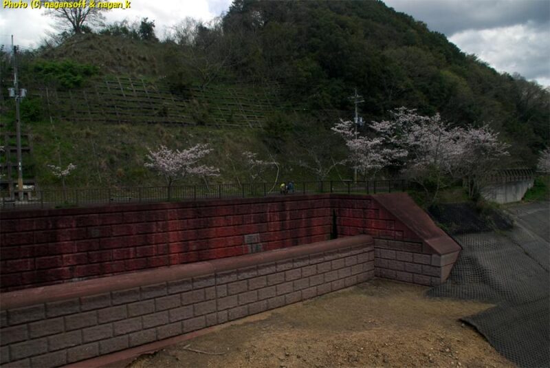 曇天の下、ダムの上から排水口を見る。水位が下がっていて水が無い。｜新滝の池｜大阪府泉佐野市上之郷｜2026年04月05日