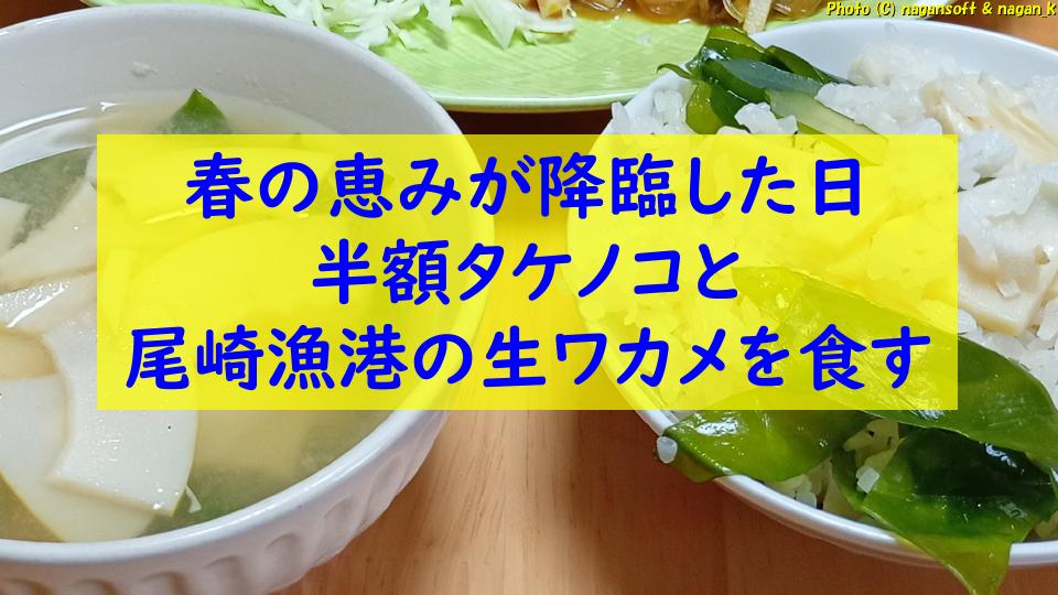 激貧家庭にも春の恵みが降臨した日｜半額タケノコと尾崎漁港の生ワカメを食す記録｜なが～ンのごちゃごちゃ 出口のないジャンクなパラダイス