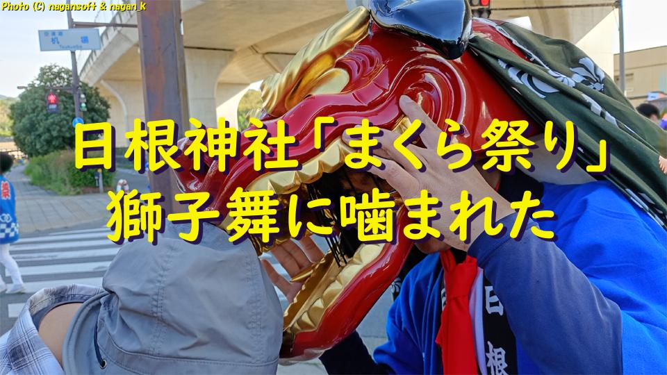 獅子舞に噛まれる、日根神社 まくら祭り｜大阪府泉佐野市上之郷。2026年05月05日撮影