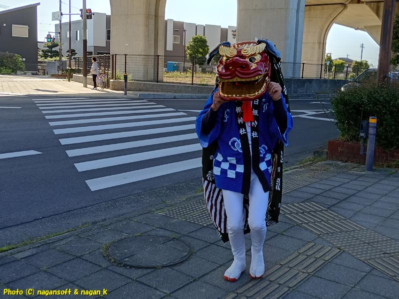 獅子舞が現れてこっちを見つめている、日根神社 まくら祭り｜大阪府泉佐野市上之郷。2026年05月05日撮影
