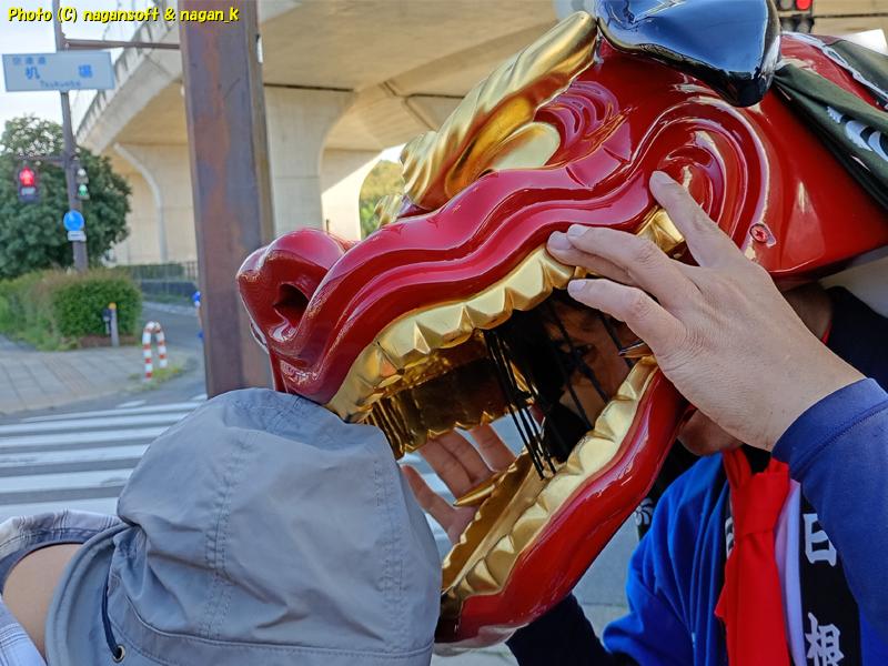 獅子舞に頭をかじられる、日根神社 まくら祭り｜大阪府泉佐野市上之郷。2026年05月05日撮影