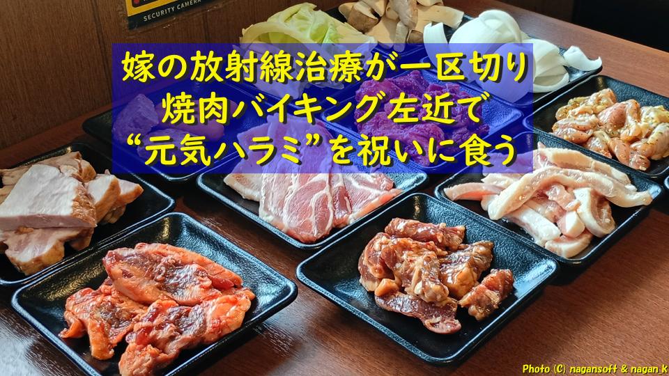 嫁の放射線治療が一区切り｜焼肉バイキング左近で“元気ハラミ”を祝いに食う｜大阪府泉佐野市 バイキング左近 末広店｜2026年05月20日撮影
