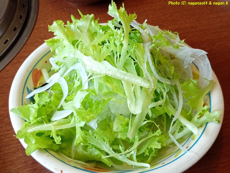 レタス(種類はわからない)｜大阪府泉佐野市 バイキング左近 末広店｜2026年05月20日撮影
