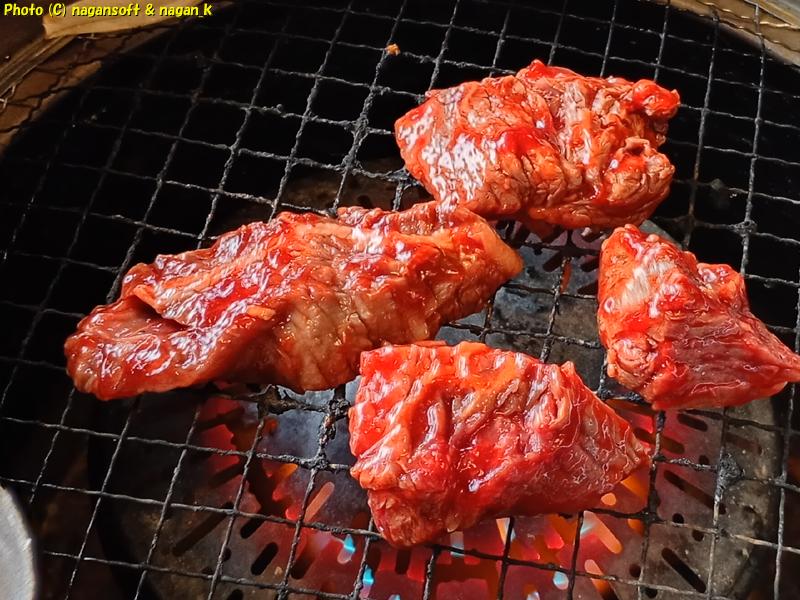カレーに入れよう、泉州元気ハラミ｜大阪府泉佐野市 バイキング左近 末広店｜2026年05月20日撮影