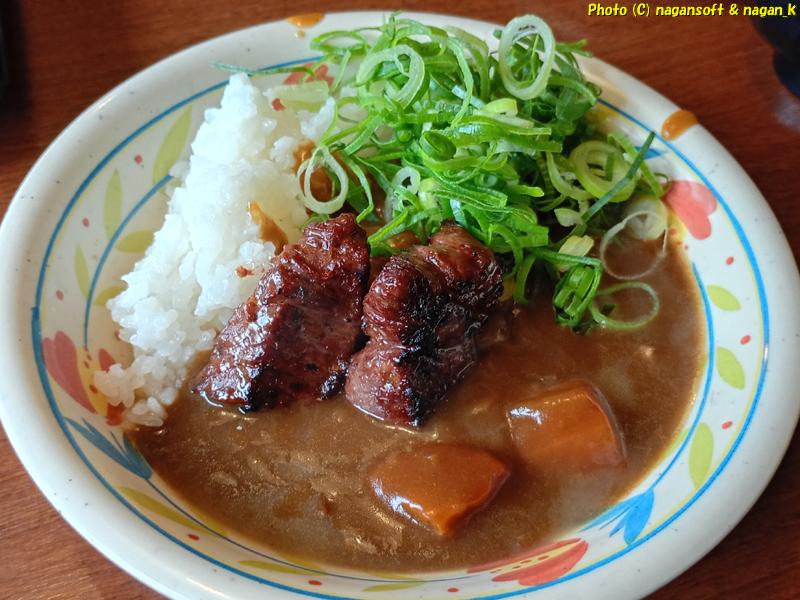 泉州元気ハラミ入りカレーライス｜大阪府泉佐野市 バイキング左近 末広店｜2026年05月20日撮影