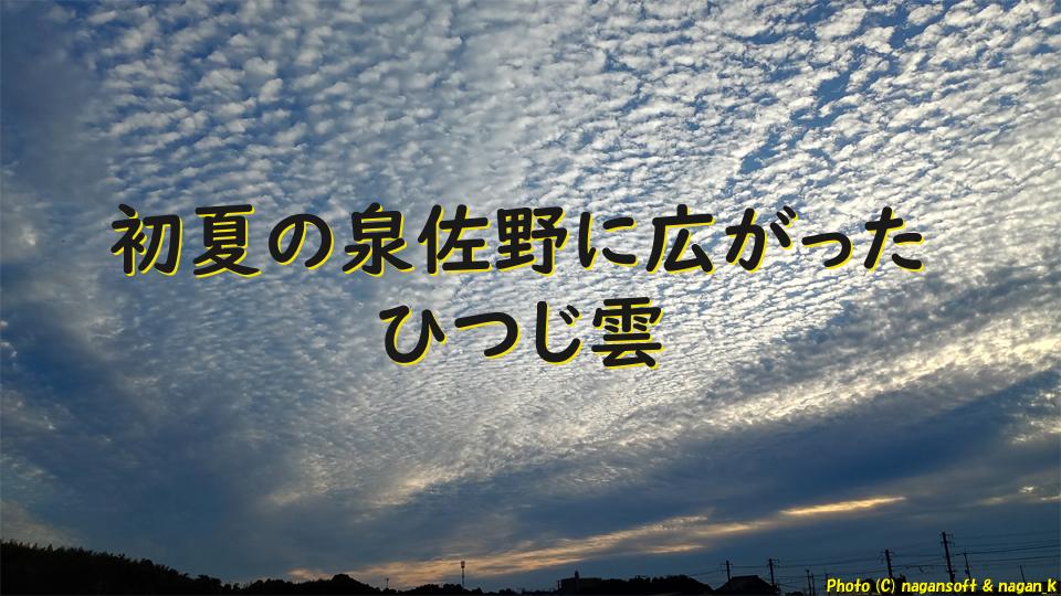 初夏の泉佐野に広がったひつじ雲｜梅雨前の空気とビワの実｜なが～ンのごちゃごちゃ 出口のないジャンクなパラダイス