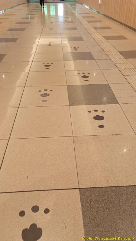 りんくうパピリオ内のイヌナキンハウスへ向かう通称「イヌナキン回廊」。通路にイヌナキンの足跡が続いている｜大阪府泉佐野市｜2026年05月31日撮影