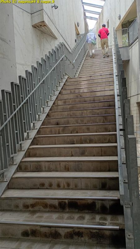 りんくう公園内の「総合休憩所」１階はトイレスペース。トイレスペースの中央に２階へ上がる階段が設置されている。コンクリート壁に挟まれた細い階段が屋根から差し込む明かりに向かって伸びている｜大阪府泉佐野市｜2026年05月31日撮影