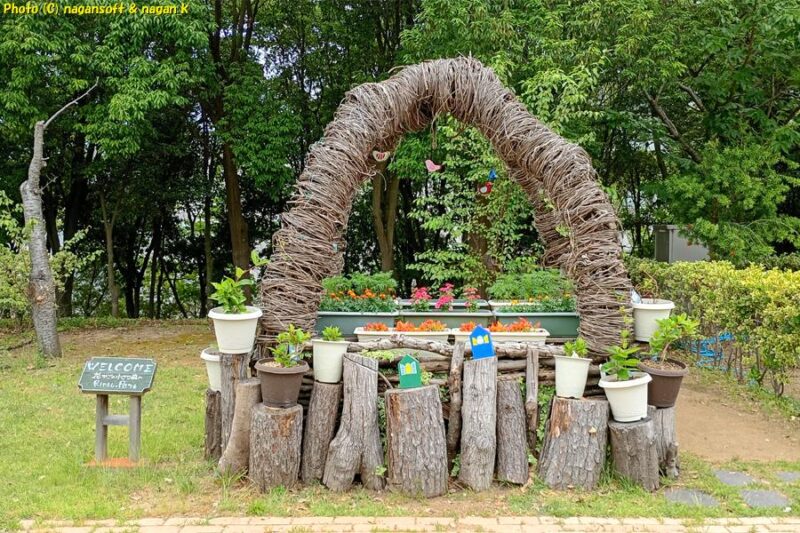 りんくう公園「海への道」橋の上にある撮影スポット“花かご”を正面から撮影。プランターや鉢植えの花が設置されているが、プラ樹脂の容器が無造作に見えている｜泉佐野市｜2026年05月31日撮影