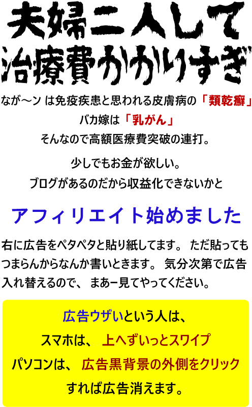 アフィリエイト始めました